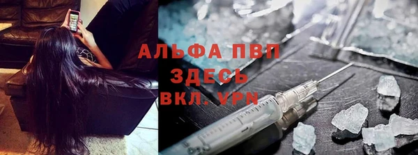 молекула духа Нягань