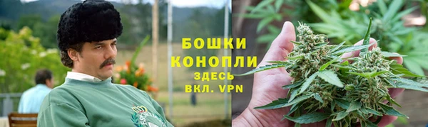 эйфоретик Осташков