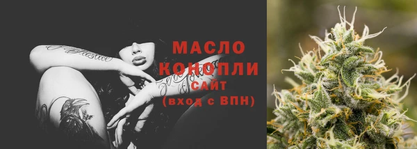 молекула духа Нягань