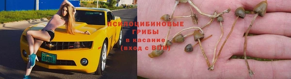 таблы Няндома