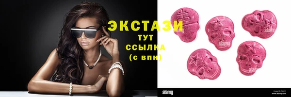 стаф Осинники