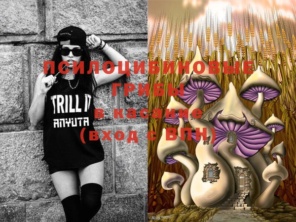 марки lsd Богданович
