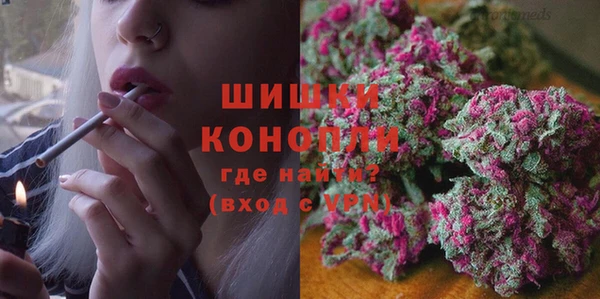прущие грибы Санкт-Петербург