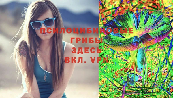 молекула духа Нягань