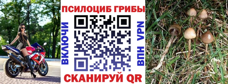 мега   закладки  Сертолово  Галлюциногенные грибы мухоморы 