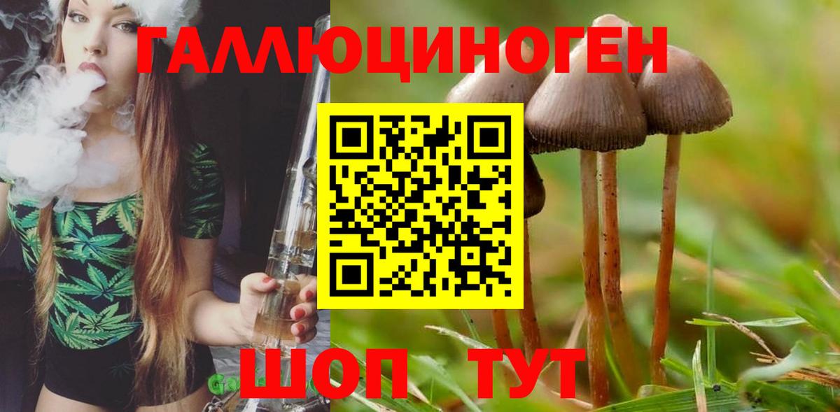 Сертолово  Галлюциногенные грибы мицелий  Вход с VPN 