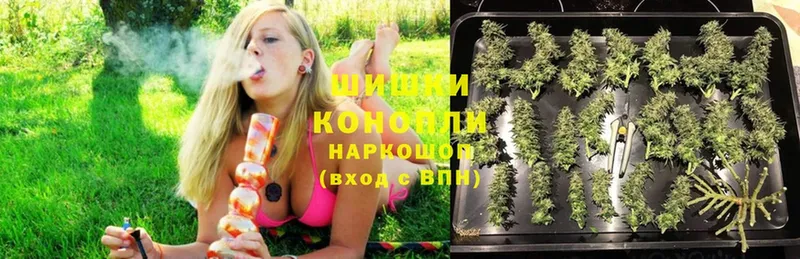 МАРИХУАНА AK-47  цены наркотик  Сертолово 